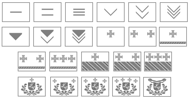 File:Rtc-rank-insignias.png