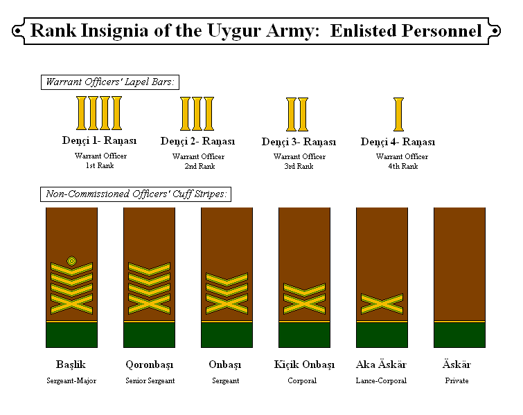 Uygur Army Enlisted.PNG