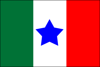 File:Tejas flag.png