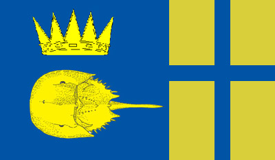 File:New sweden flag 1.jpg