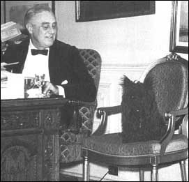 FDR and Fala side by side.jpg