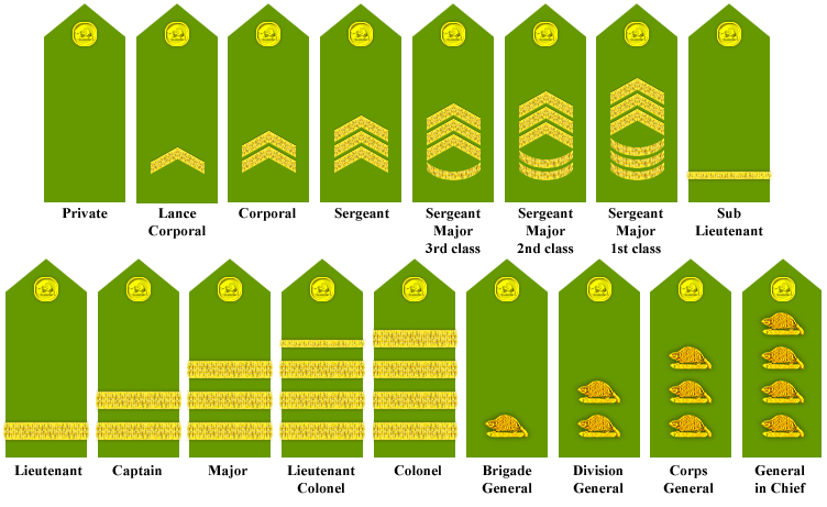 File:Oregon-rank-insignias.png