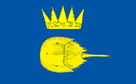 File:New Sweden Banner 1.jpg