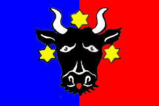 File:Bucovina flag.gif