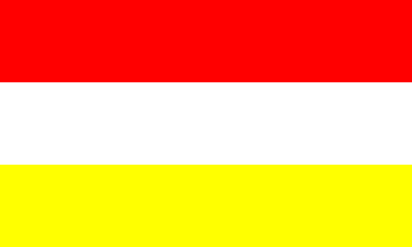 File:Vozgian flag.gif