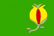 National Flag for the New Kingdom of Granada