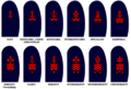 Sr-naval-non-officers-version-2.png