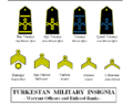 Turkestan military rank insignia: Other Ranks