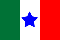 Flag of Tejas