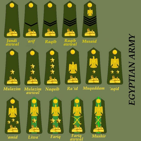 File:Egypt army ranks.jpg