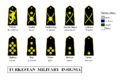 Turkestan military rank insignia: Officers