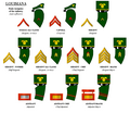 Infantry Sub-Officer`s Rank Insignias