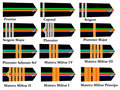Enlisted rank insignia for Oltenian Air Corps
