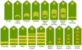 Oregon-rank-insignias.png