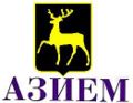 AZiYeM logo.JPG
