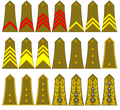 Dalmatian military rank insignias