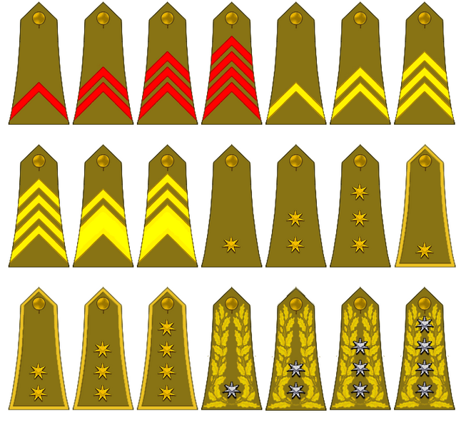 File:Dalmatia-rank-insignias.png