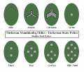 Rank insignia of the State Police of Turkestan
