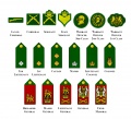 English military rank insignias