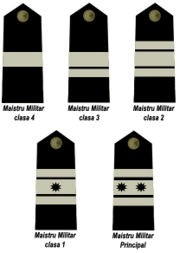 Warrant Officers rank insignia