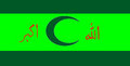 6. here is my most recent proposal--the green and green Arab Nationalism, but with a crescent instead of a star (to distinguish from Saddam's regime) and the motto Allah Akbar as a point of Muslim solidarity and pride