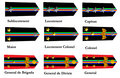 Officer rank insignia for Oltenian Air Corps
