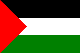 File:Hijaaz flag.gif