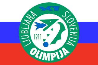 Flag of the club