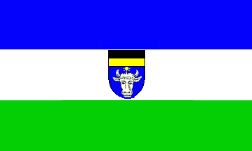 File:Kongo flag.gif