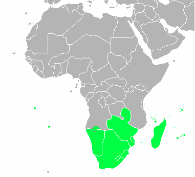 File:AfricaSouth.png