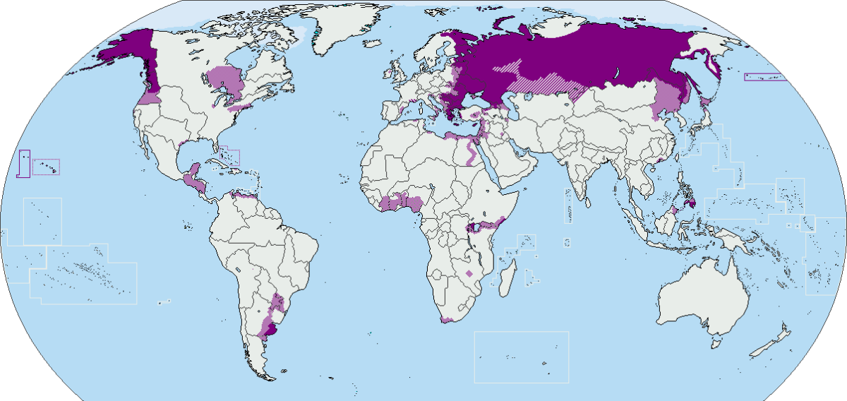 Карта распространения Православия в мире. Распространение христианства. Карта распространения христианства в мире. A growing country