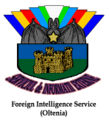 Foreign Intelligence Service Seal