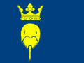 New Sweden Banner of Arms