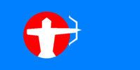 State flag of Uyguristan